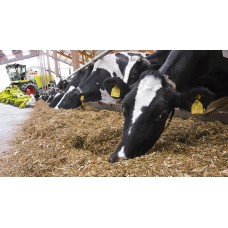 CLAAS POWER SYSTEMS CLAAS POWER SYSTEMS